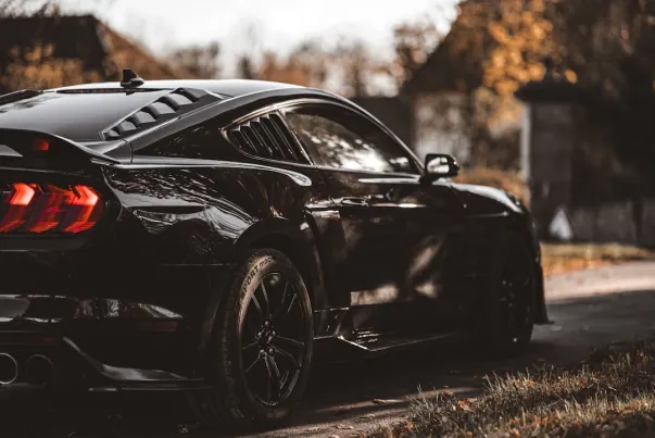 Σπινάγκο Καζίνο Εφαρμογή Android/iOS